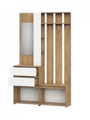 НЕКСТ 1 Вешалка с зеркалом + Шкаф 2-х ств. с ящиками в Пойковском - poikovskii.mebel24.online | фото 5