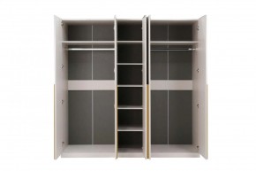 НИКОЛЬ 25 Шкаф 5-ти створчатый в Пойковском - poikovskii.mebel24.online | фото 3