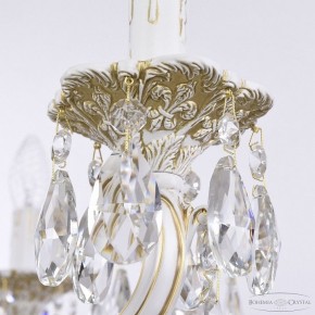 Подвесная люстра Bohemia Ivele Crystal AL7801 AL78101/10/250 A WMG в Пойковском - poikovskii.mebel24.online | фото 7
