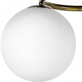 Подвесная люстра Lightstar Globo 815091 в Пойковском - poikovskii.mebel24.online | фото 3