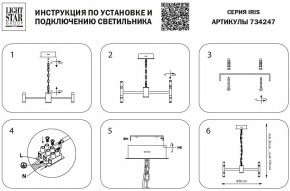 Подвесная люстра Lightstar Iris 734247 в Пойковском - poikovskii.mebel24.online | фото 4