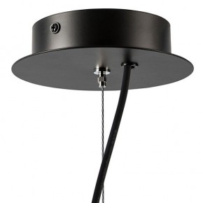 Подвесная люстра Lightstar Ragno 733247 в Пойковском - poikovskii.mebel24.online | фото 9