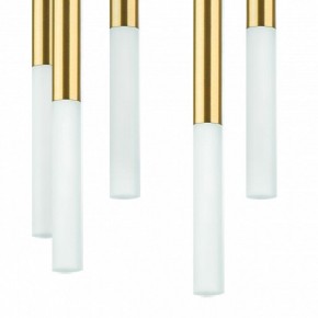 Подвесная люстра Lightstar Tubo L8T747143 в Пойковском - poikovskii.mebel24.online | фото 5