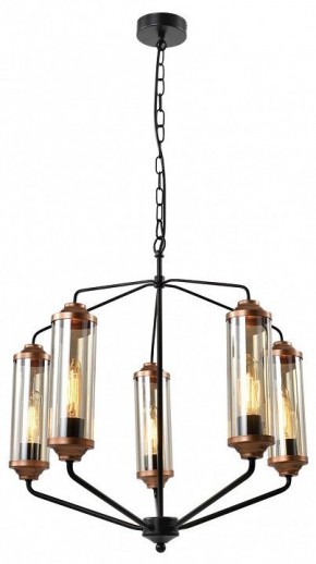 Подвесная люстра Lussole Fishers LSP-8800 в Пойковском - poikovskii.mebel24.online | фото 2
