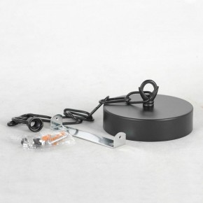 Подвесная люстра Lussole Fishers LSP-8800 в Пойковском - poikovskii.mebel24.online | фото 7