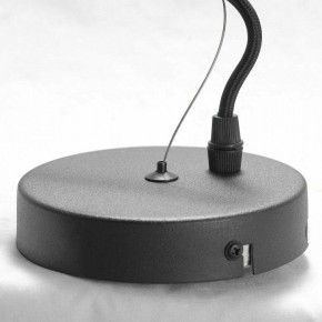 Подвесная люстра Lussole Huron LSP-8156 в Пойковском - poikovskii.mebel24.online | фото 7