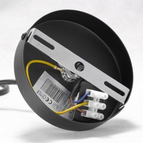 Подвесная люстра Lussole Kenner GRLSP-8271 в Пойковском - poikovskii.mebel24.online | фото 7