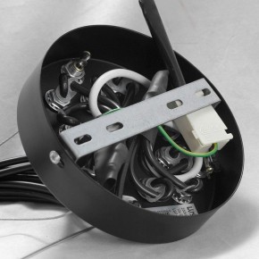 Подвесная люстра Lussole Seneca GRLSP-8177 в Пойковском - poikovskii.mebel24.online | фото 10
