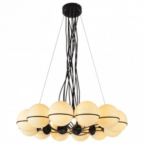 Подвесная люстра Lussole Seneca LSP-8177 в Пойковском - poikovskii.mebel24.online | фото