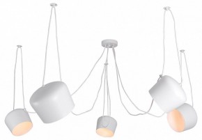 Подвесная люстра Lussole Shirley LSP-8175 в Пойковском - poikovskii.mebel24.online | фото