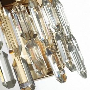 Подвесная люстра Odeon Light Dakisa 4986/12 в Пойковском - poikovskii.mebel24.online | фото 8