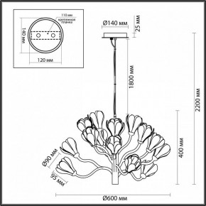 Подвесная люстра Odeon Light Gardi 5090/15 в Пойковском - poikovskii.mebel24.online | фото 6