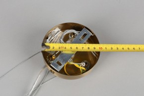 Подвесная люстра Omnilux Ales OML-69103-06 в Пойковском - poikovskii.mebel24.online | фото 11