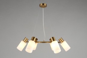 Подвесная люстра Omnilux Ales OML-69103-06 в Пойковском - poikovskii.mebel24.online | фото 4