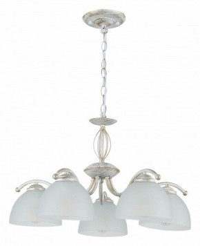 Подвесная люстра Rivoli Valerie Б0060980 в Пойковском - poikovskii.mebel24.online | фото 2