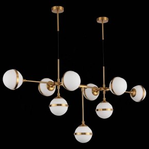 Подвесная люстра ST-Luce Arbe SL1157.303.09 в Пойковском - poikovskii.mebel24.online | фото 4
