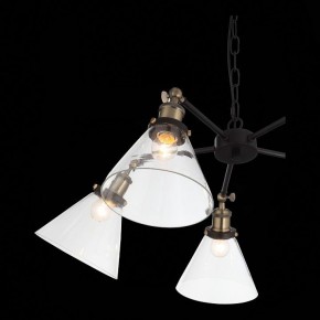 Подвесная люстра ST-Luce Evoluto SL237.413.05 в Пойковском - poikovskii.mebel24.online | фото 7