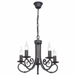 Подвесная люстра Vitaluce 3407 V3407/5 в Пойковском - poikovskii.mebel24.online | фото 2