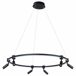 Подвесной светильник Arte Lamp Ring A2186SP-1BK в Пойковском - poikovskii.mebel24.online | фото 2