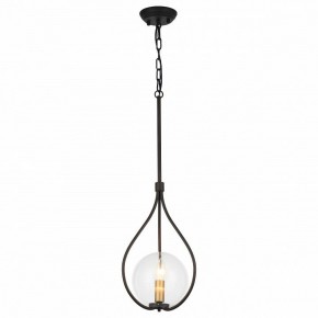 Подвесной светильник Favourite Kessel 1905-1P в Пойковском - poikovskii.mebel24.online | фото 2
