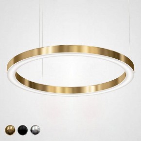 Подвесной светильник Imperiumloft Light Ring Horizontal 40.1454-100 в Пойковском - poikovskii.mebel24.online | фото