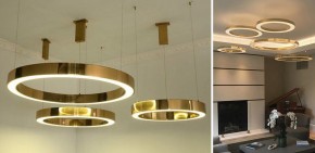 Подвесной светильник Imperiumloft Light Ring Horizontal 40.1454-100 в Пойковском - poikovskii.mebel24.online | фото 4