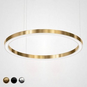 Подвесной светильник Imperiumloft Light Ring Horizontal 40.1454-120 в Пойковском - poikovskii.mebel24.online | фото