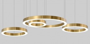 Подвесной светильник Imperiumloft Light Ring Horizontal 40.1454-40 в Пойковском - poikovskii.mebel24.online | фото 4