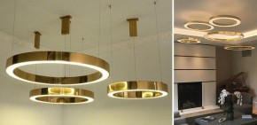 Подвесной светильник Imperiumloft Light Ring Horizontal 40,1454 в Пойковском - poikovskii.mebel24.online | фото 2