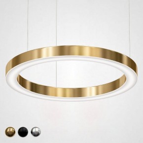 Подвесной светильник Imperiumloft Light Ring Horizontal 40.1454-80 в Пойковском - poikovskii.mebel24.online | фото