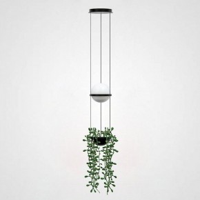 Подвесной светильник Imperiumloft Palma Wall Lamp 22.93727 в Пойковском - poikovskii.mebel24.online | фото