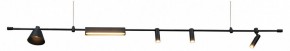 Подвесной светильник Kink Light Ристо 07616-180L,19 в Пойковском - poikovskii.mebel24.online | фото