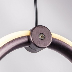 Подвесной светильник Lightstar Caramello 796169 в Пойковском - poikovskii.mebel24.online | фото 10