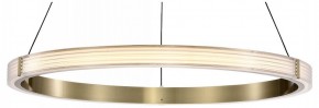 Подвесной светильник Lightstar Rotonda 736261 в Пойковском - poikovskii.mebel24.online | фото
