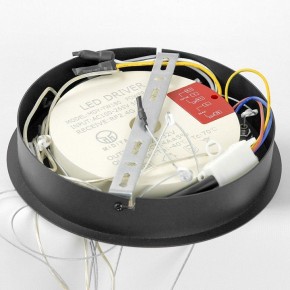 Подвесной светильник Lussole Hale LSP-7380 в Пойковском - poikovskii.mebel24.online | фото 6