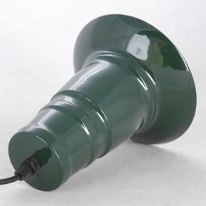 Подвесной светильник Lussole  LSP-8974 в Пойковском - poikovskii.mebel24.online | фото 4