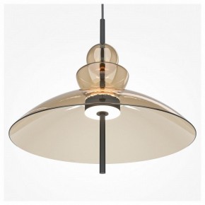 Подвесной светильник Maytoni Bangkok MOD185PL-L12CG3K3 в Пойковском - poikovskii.mebel24.online | фото 5