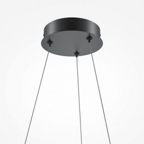 Подвесной светильник Maytoni Curve MOD241PL-L60BK в Пойковском - poikovskii.mebel24.online | фото 6