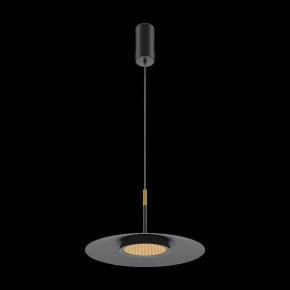 Подвесной светильник Maytoni Halo MOD041PL-L15B3K1 в Пойковском - poikovskii.mebel24.online | фото 4