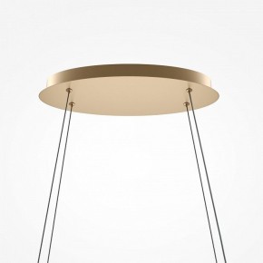 Подвесной светильник Maytoni Plons MOD283PL-L65BS3K в Пойковском - poikovskii.mebel24.online | фото 4