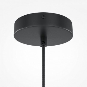 Подвесной светильник Maytoni Roots MOD194PL-01W1 в Пойковском - poikovskii.mebel24.online | фото 5