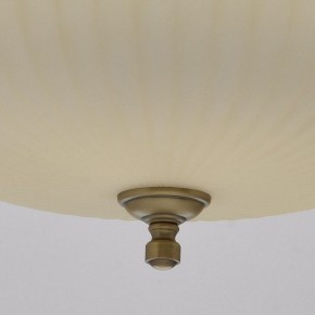 Подвесной светильник MW-Light Афродита 1 317010504 в Пойковском - poikovskii.mebel24.online | фото 9