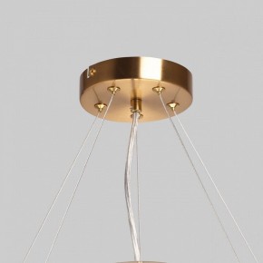 Подвесной светильник MW-Light Илоника 10 451013006 в Пойковском - poikovskii.mebel24.online | фото 10