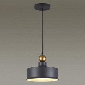 Подвесной светильник Odeon Light Bolli 4088/1 в Пойковском - poikovskii.mebel24.online | фото 4