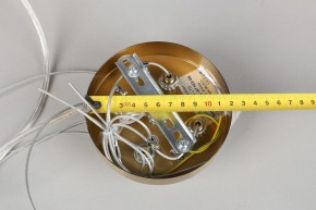 Подвесной светильник Omnilux Cesana OML-67103-08 в Пойковском - poikovskii.mebel24.online | фото 9
