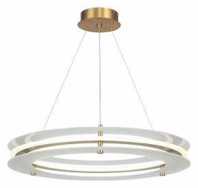 Подвесной светильник ST-Luce FAGY SL6245.203.01 в Пойковском - poikovskii.mebel24.online | фото 2