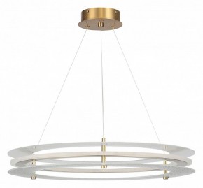 Подвесной светильник ST-Luce FAGY SL6245.203.01 в Пойковском - poikovskii.mebel24.online | фото 3