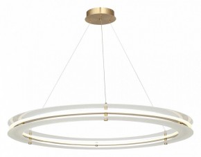 Подвесной светильник ST-Luce FAGY SL6245.213.01 в Пойковском - poikovskii.mebel24.online | фото 4