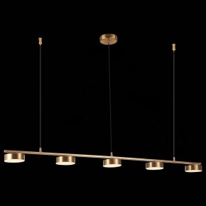 Подвесной светильник ST-Luce Pances SL6000.303.05 в Пойковском - poikovskii.mebel24.online | фото 5