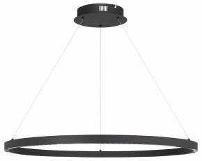 Подвесной светильник ST-Luce PARILLA SL6238.443.01 в Пойковском - poikovskii.mebel24.online | фото 3